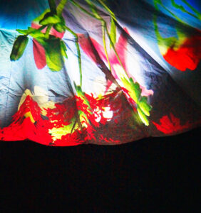 flower projections - teatret gruppe 38
