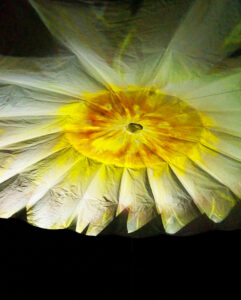 flower projections - teatret gruppe 38