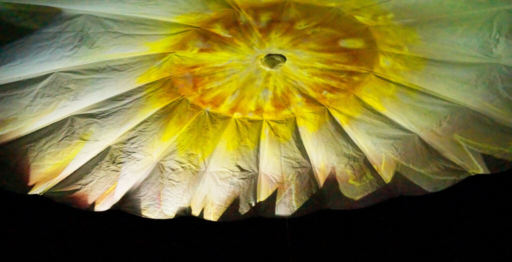 flower projections - teatret gruppe 38