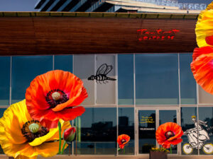 flowers on a building