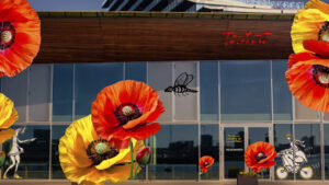 flowers on a building