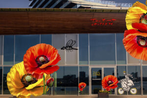 flowers on a building