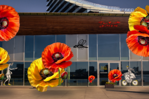 flowers on a building