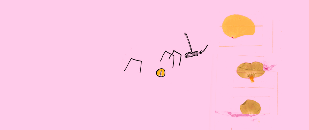 illustration af croketspil og blomster på rosa baggrund