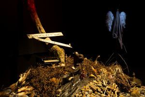 installationview_Forundrings-kabinettet _Teatret Gruppe 38